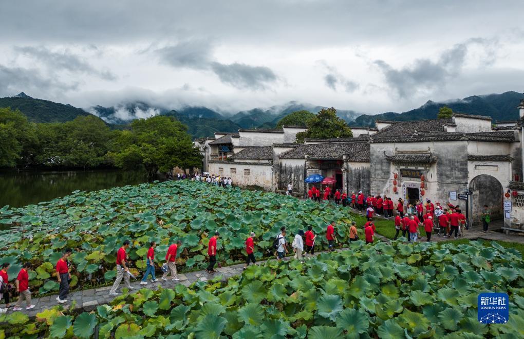 顶级老虎机平台